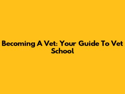 Becoming A Vet: Your Guide To Vet School