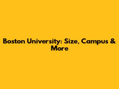 Boston University: Size, Campus & More